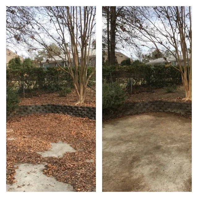 Expert yard cleanup service in Martinez, GA - Patriot Mowing