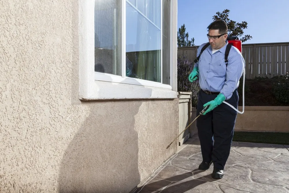 Custom outdoor landscaping for residential properties in Bonita Springs, FL by Patriot Pest Management