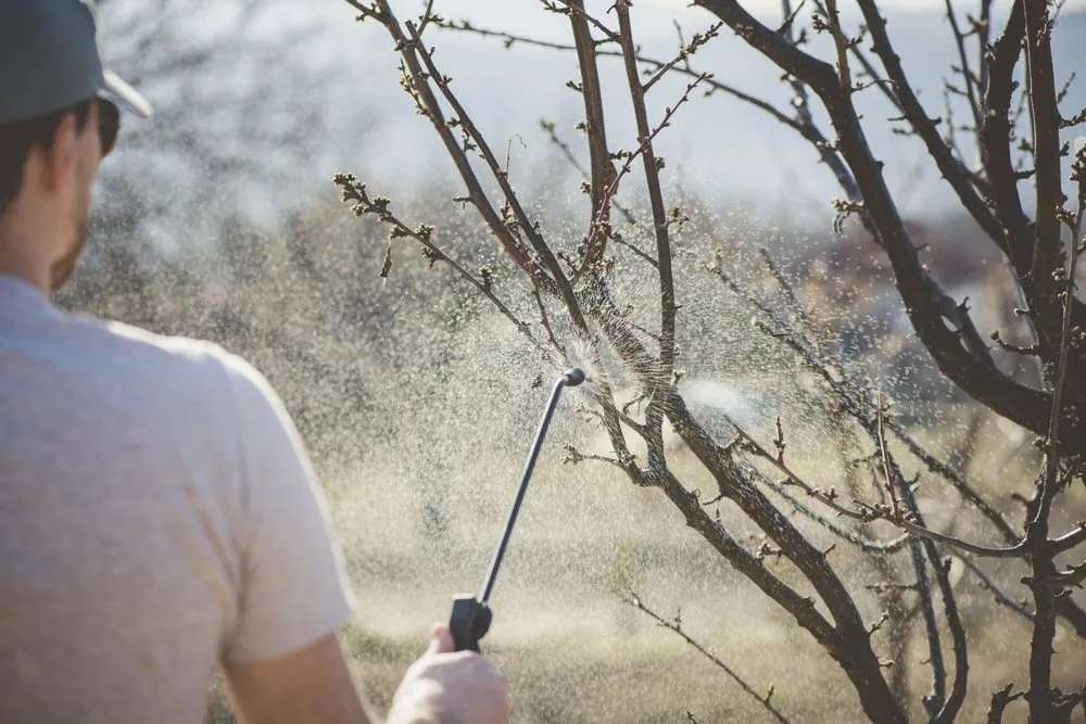 Affordable garden landscaping in Bonita Springs, FL - Patriot Pest Management