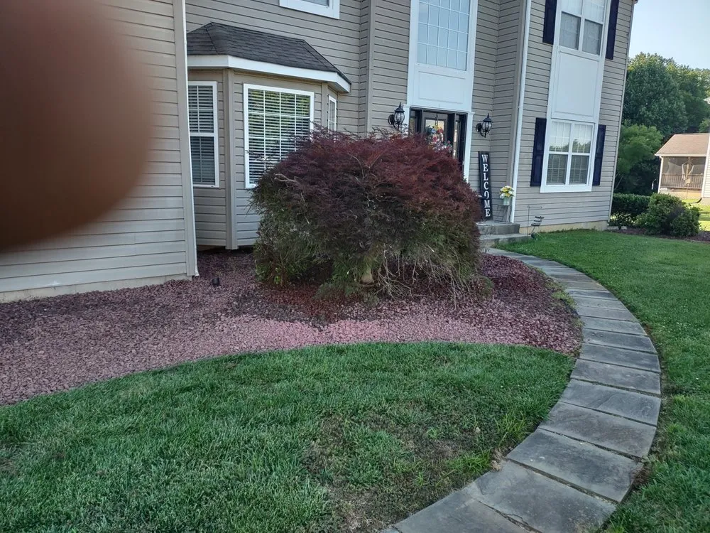 Top-rated landscaping services experts serving Bear, DE - Patriot Power Washing & Property Management