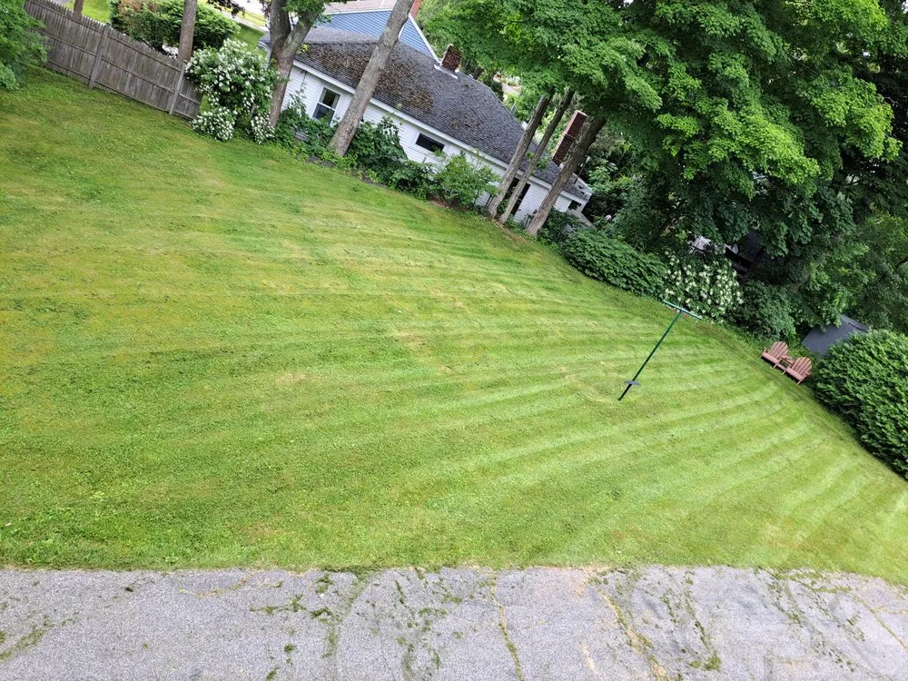 Trusted yard cleanup service in Biddeford, ME - Patriot Property Management