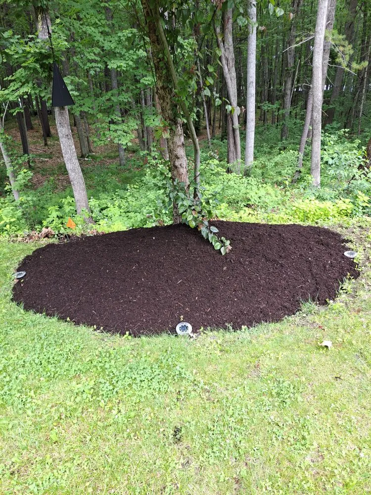 Top-rated outdoor landscaping near you across Biddeford, ME - Patriot Property Management