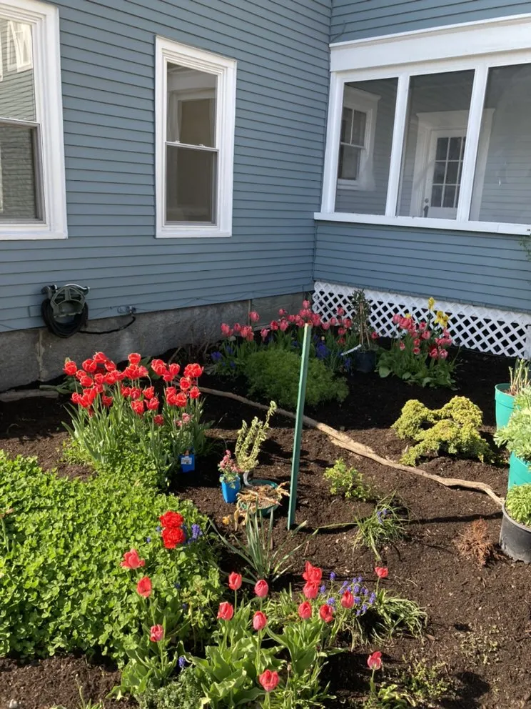 Reliable landscaping services for residential properties across Biddeford, ME - Patriot Property Management