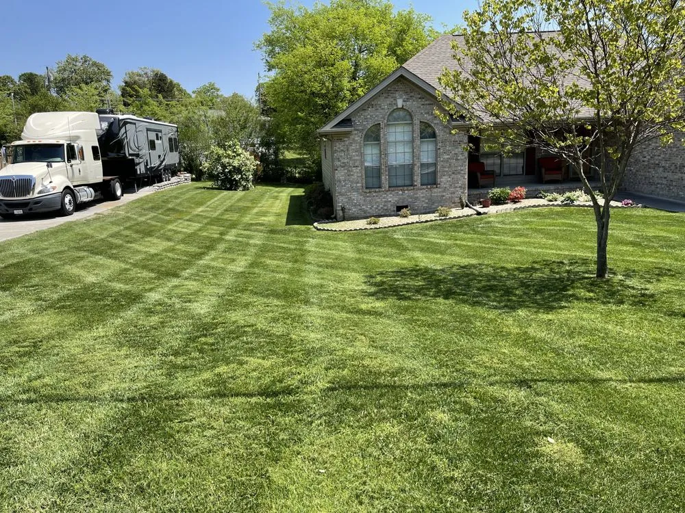 Professional lawn mowing service in White Pine, TN by Patriot Property Management