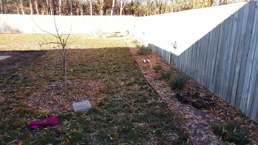 Professional yard maintenance experts serving Spring Hill, FL - Patriot Services