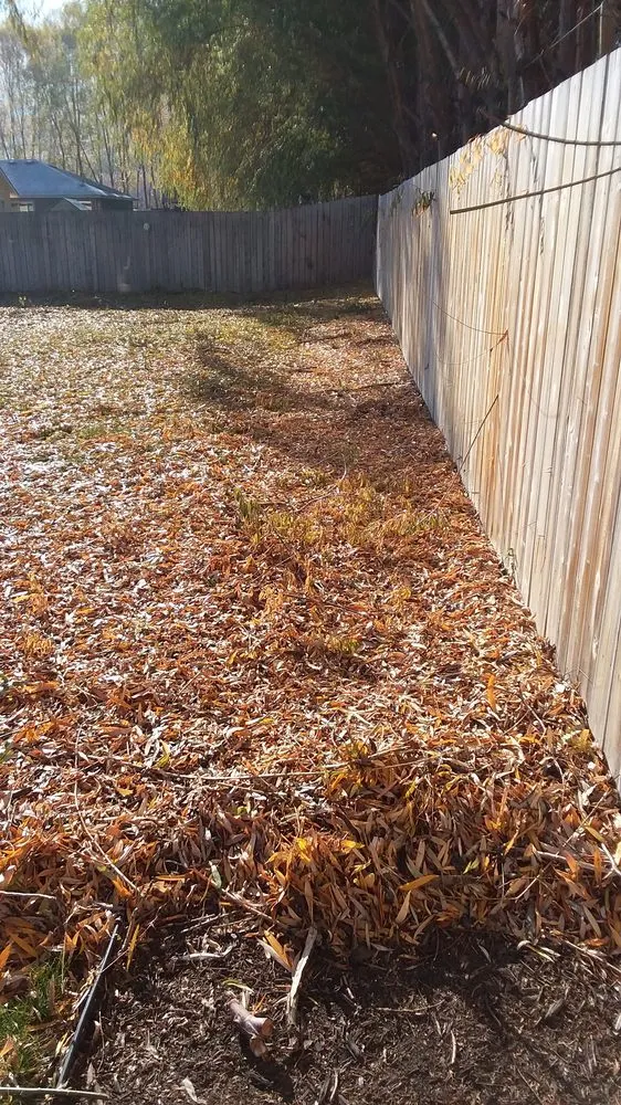 Top-rated lawn care service experts serving Spring Hill, FL - Patriot Services