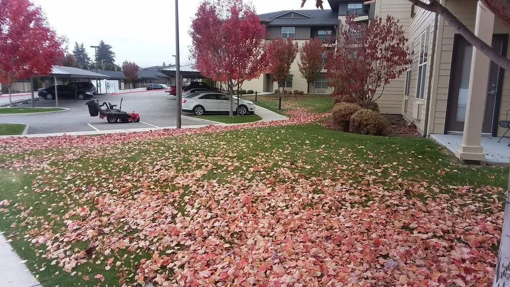 Professional garden landscaping in Spring Hill, FL - Patriot Services