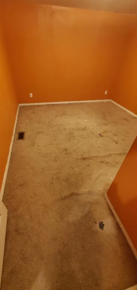 Reliable outdoor landscaping in Spring Hill, FL by Patriot Services