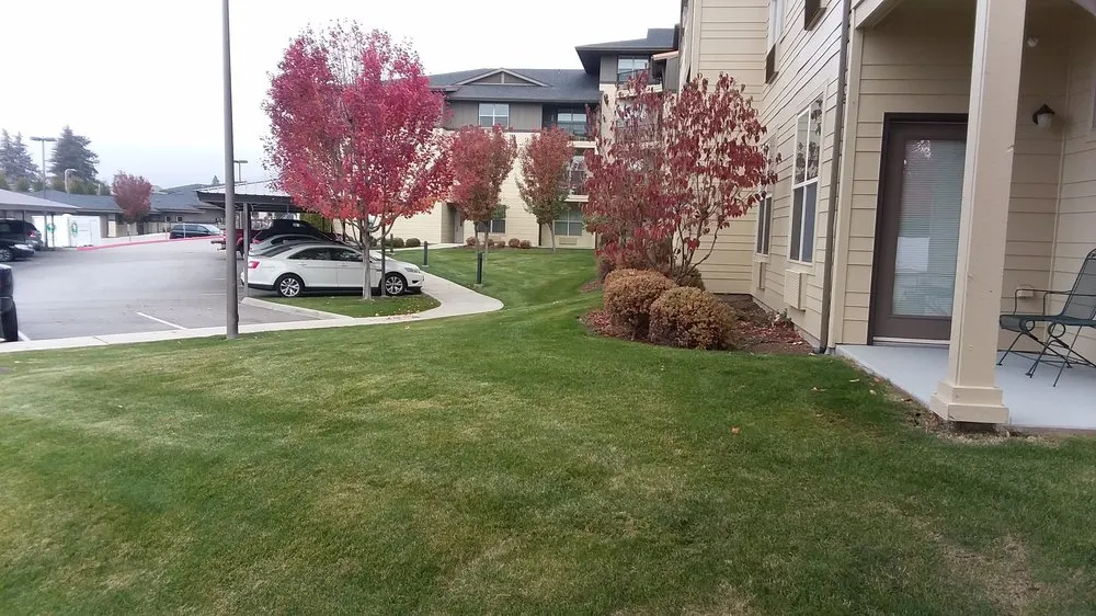 Local landscaping services for outdoor upgrades across Spring Hill, FL - Patriot Services