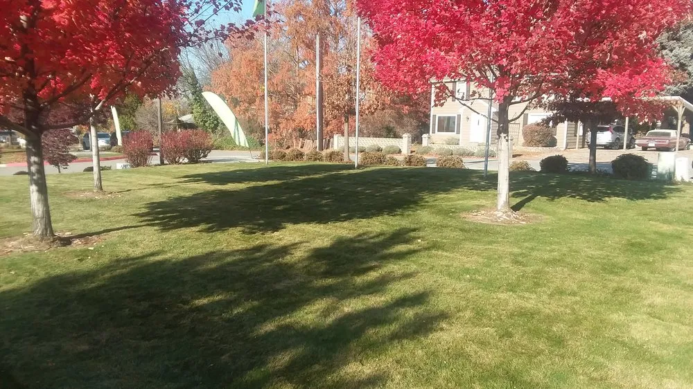 Affordable garden landscaping in Spring Hill, FL by Patriot Services