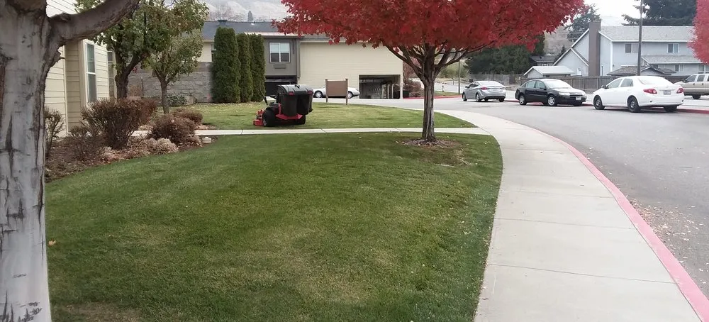 Professional lawn mowing service with custom design across Spring Hill, FL - Patriot Services