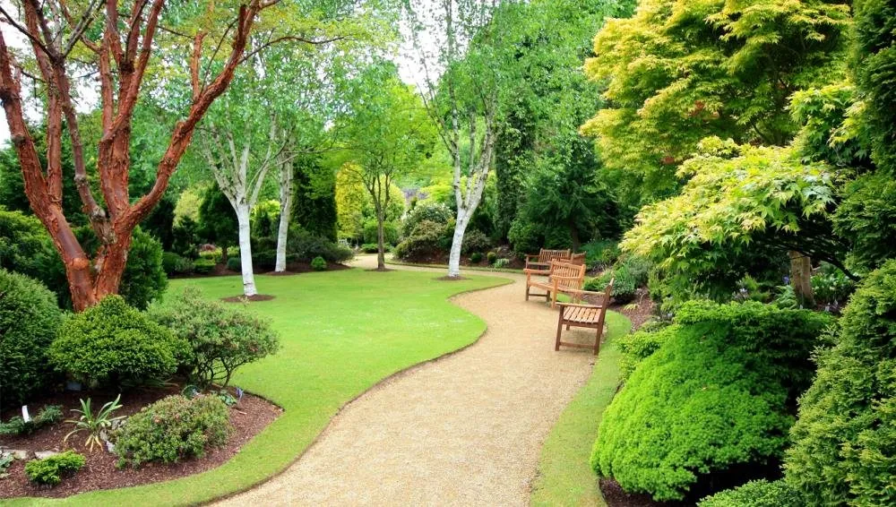 Reliable lawn care service experts serving Florence, KY - Patriot Specialty Services