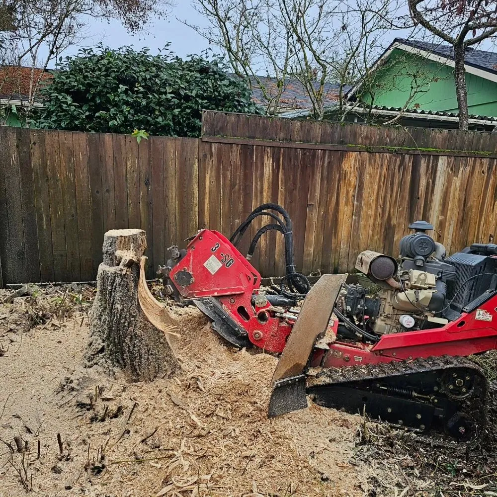 Professional landscape design for homes in Lafayette, OR by Patriot Strong Landscaping
