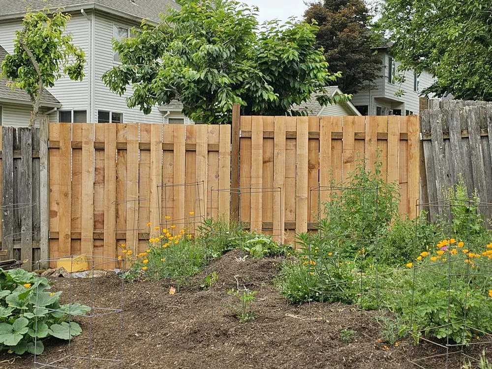 Professional yard maintenance experts serving Lafayette, OR - Patriot Strong Landscaping