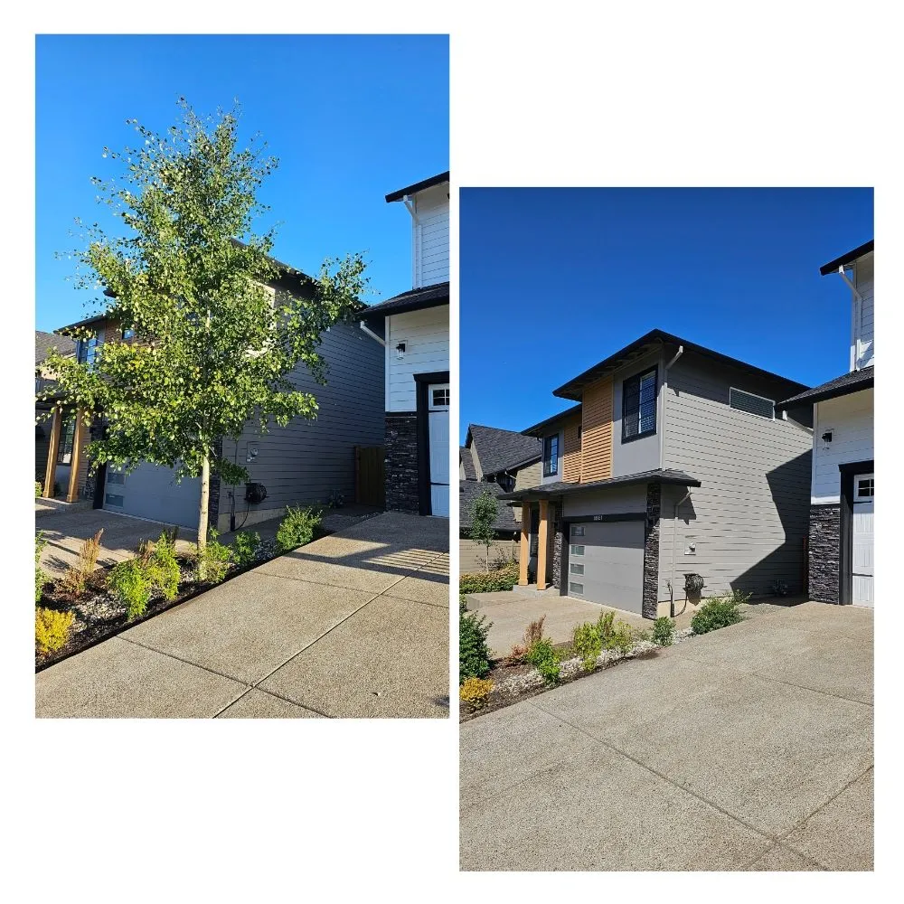 Affordable landscape installation for outdoor upgrades across Lafayette, OR - Patriot Strong Landscaping