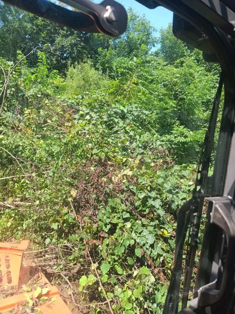 Affordable landscaping services in Maryville, TN by Patriot Stump Grinding