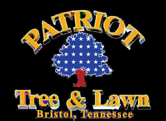Reliable yard maintenance for residential properties across Bristol, TN - Patriot Tree and Lawn