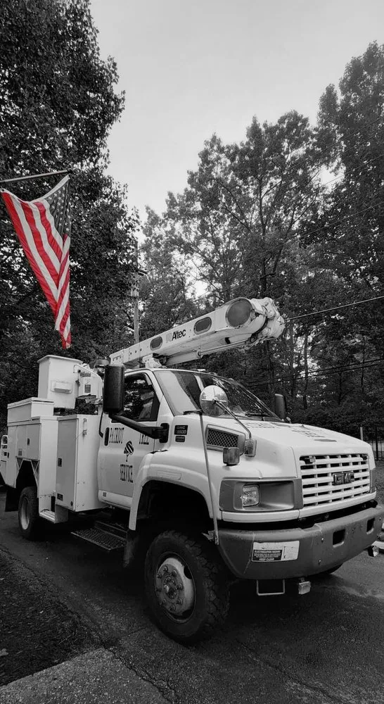 Trusted yard maintenance for beautiful yards across Charleston, WV - Patriot Tree Experts