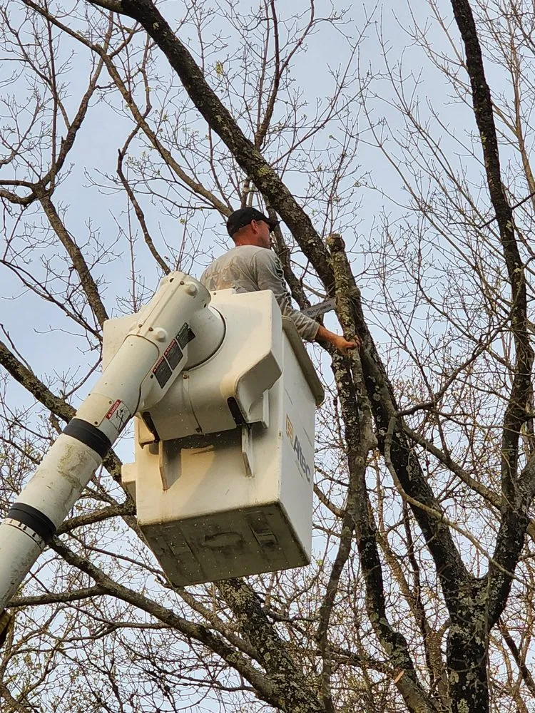 Custom landscaping services for outdoor upgrades in Charleston, WV by Patriot Tree Experts