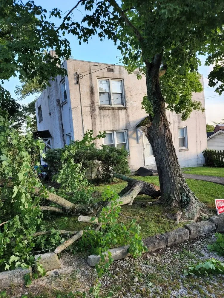 Local lawn mowing service for residential properties across Charleston, WV - Patriot Tree Experts