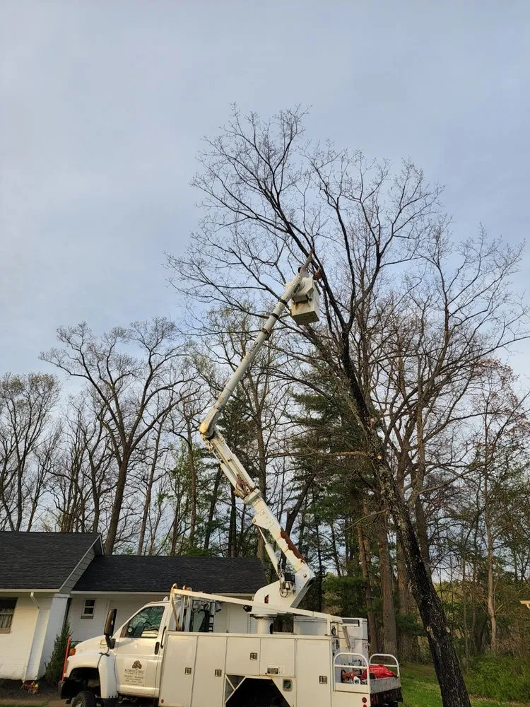 Affordable outdoor landscaping near you across Charleston, WV - Patriot Tree Experts