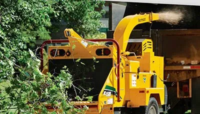 Custom lawn care service for residential properties in Fairfax, VA by Patriot Tree Experts