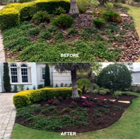 Reliable residential landscaping for residential properties in Fairfax, VA by Patriot Tree Experts