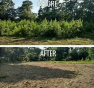 Expert yard cleanup service for residential properties in Fairfax, VA by Patriot Tree Experts