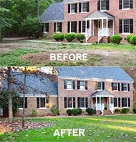 Reliable yard maintenance in Fairfax, VA by Patriot Tree Experts
