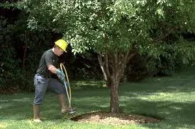 Expert landscape installation for homes across Fairfax, VA - Patriot Tree Experts