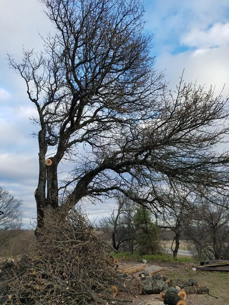 Professional landscape design in Ada, OK - Patriot Tree Service