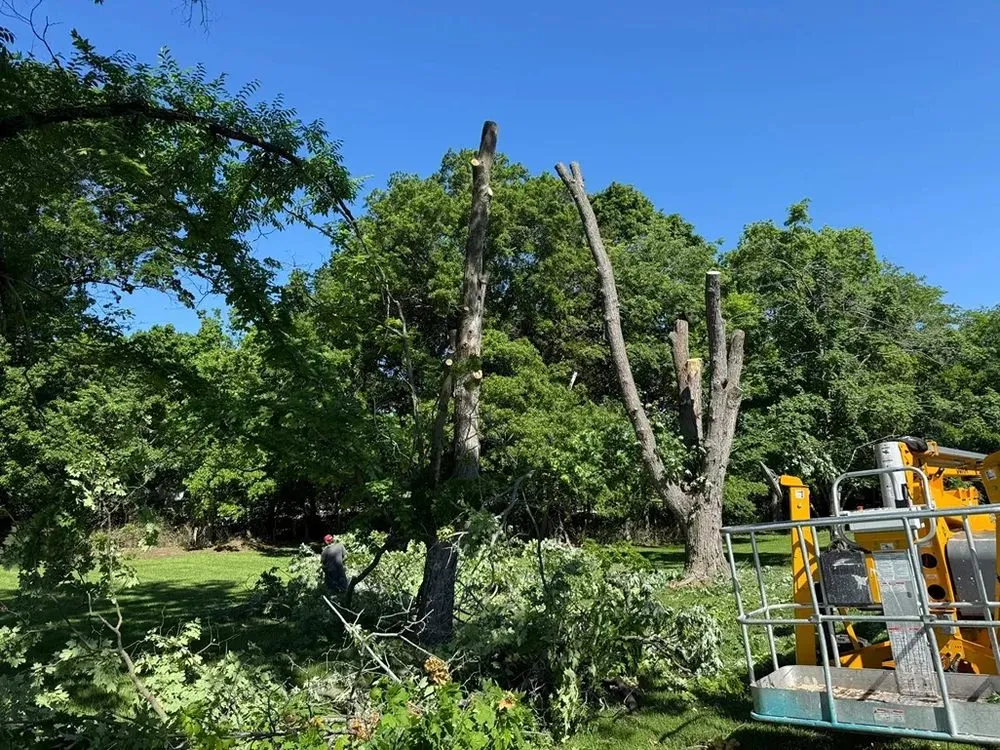 Professional landscaping services for residential properties in Foristell, MO by Patriot Tree Service