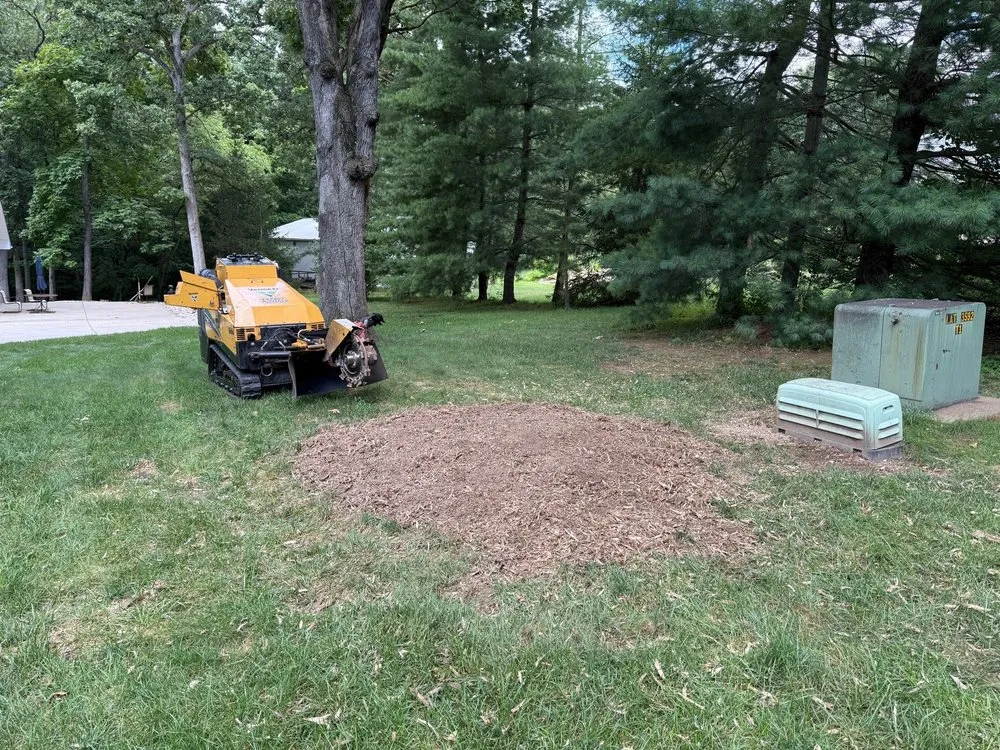 Expert yard cleanup service for outdoor upgrades in Foristell, MO by Patriot Tree Service