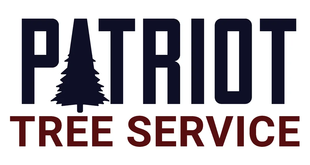 Trusted lawn mowing service in Foristell, MO - Patriot Tree Service