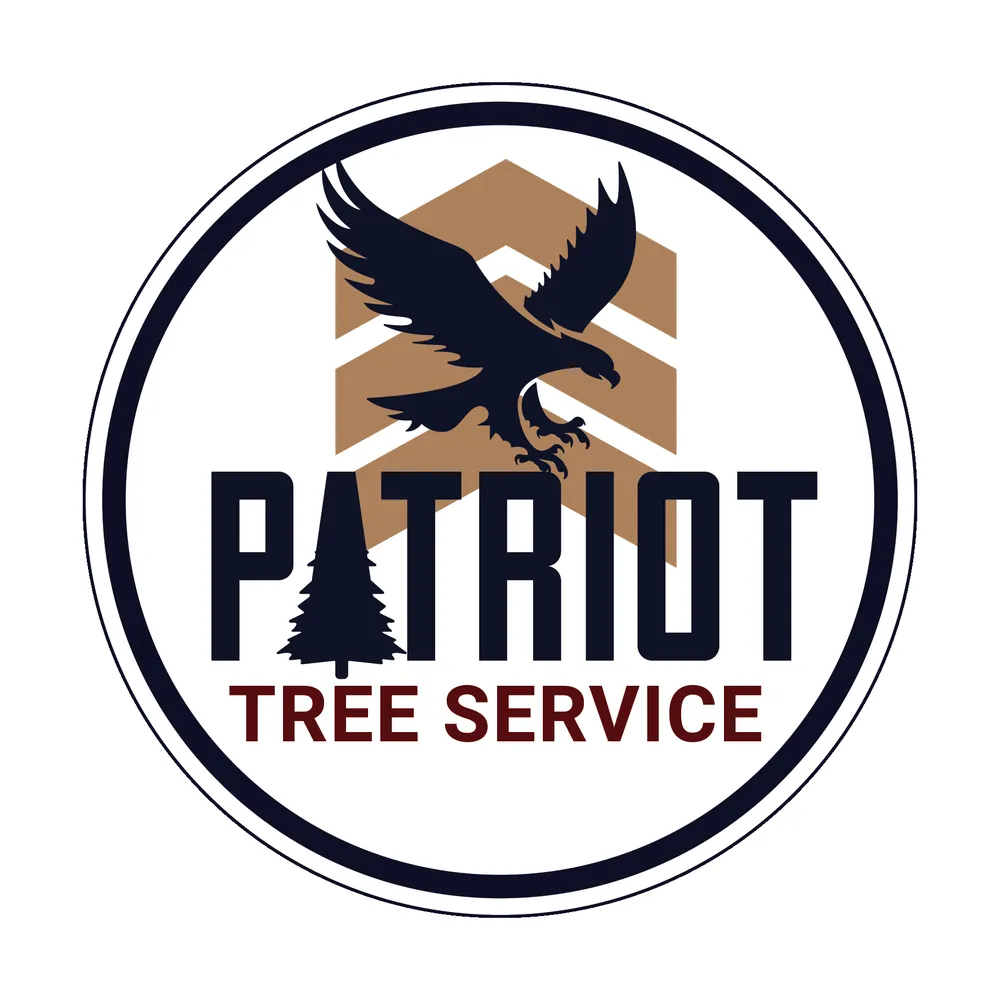 Professional yard maintenance experts serving Foristell, MO - Patriot Tree Service