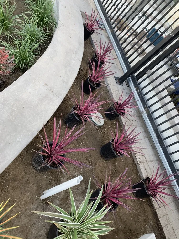 Top-rated landscape design experts serving Santa Clarita, CA - Patriot Waterworks