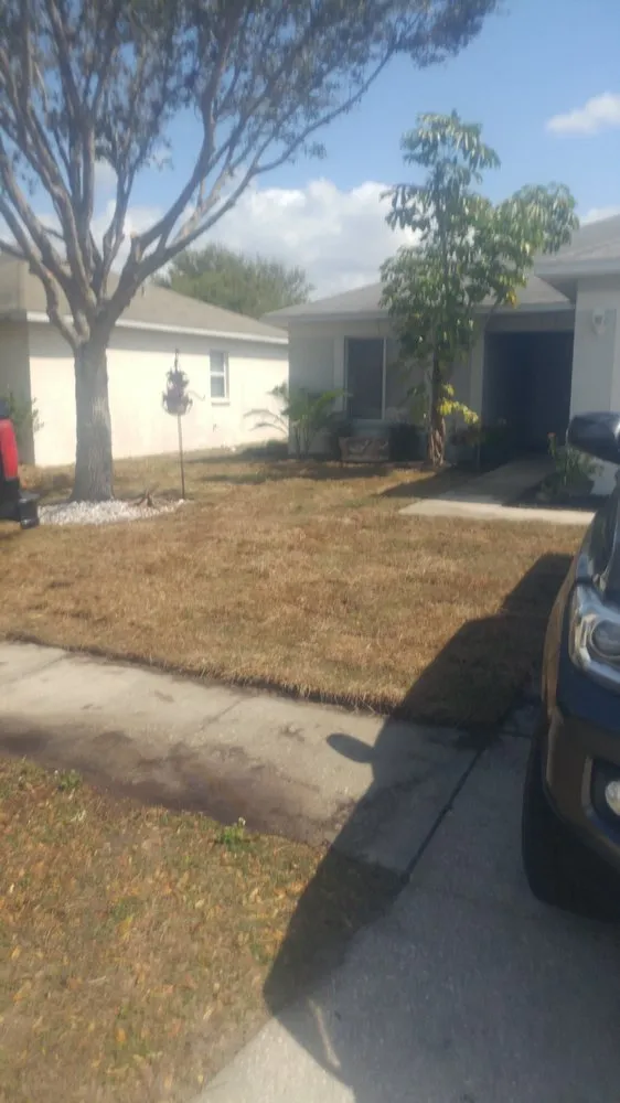 Custom lawn care service experts serving Floral City, FL - Patriotic Property Management
