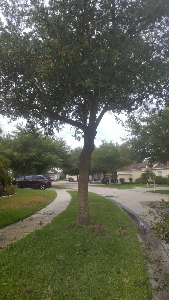 Custom yard cleanup service for outdoor upgrades across Floral City, FL - Patriotic Property Management