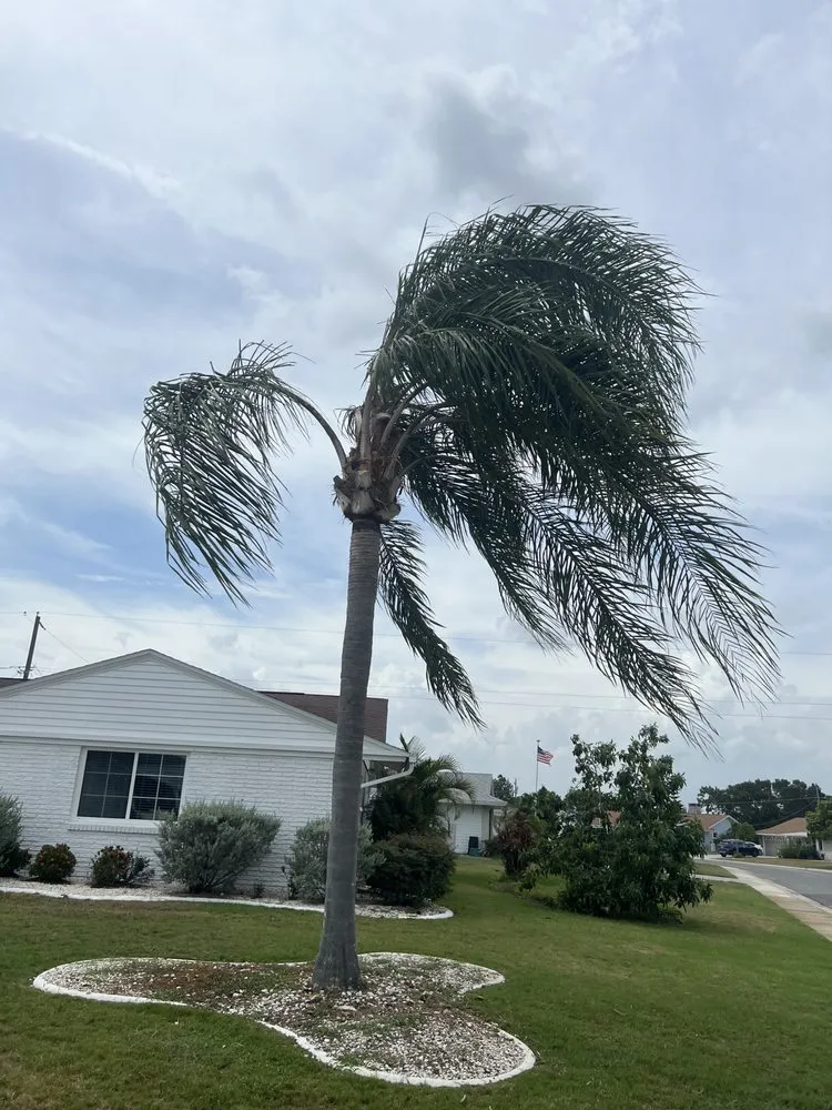 Top-rated outdoor landscaping in Floral City, FL - Patriotic Property Management