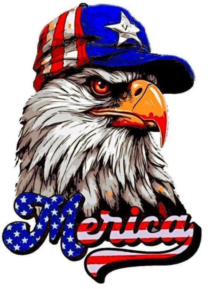 Top-rated lawn mowing service in Salem, SC by Patriotic Services