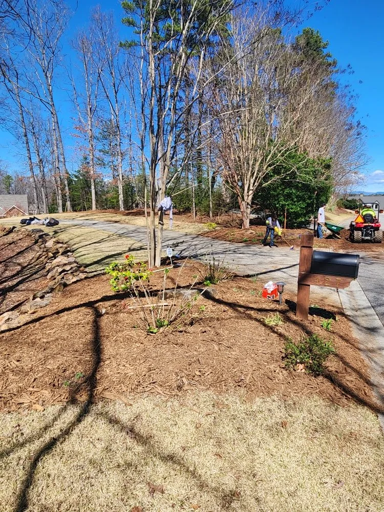 Top-rated landscape installation for residential properties across Salem, SC - Patriotic Services