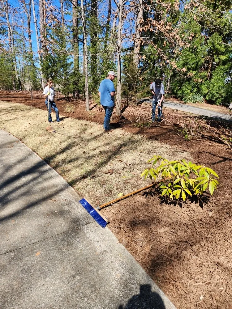 Professional residential landscaping in Salem, SC - Patriotic Services