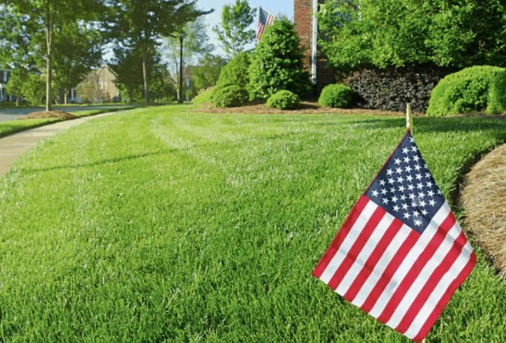 Expert landscaping services in Cheshire, CT - Patriots Landscapers