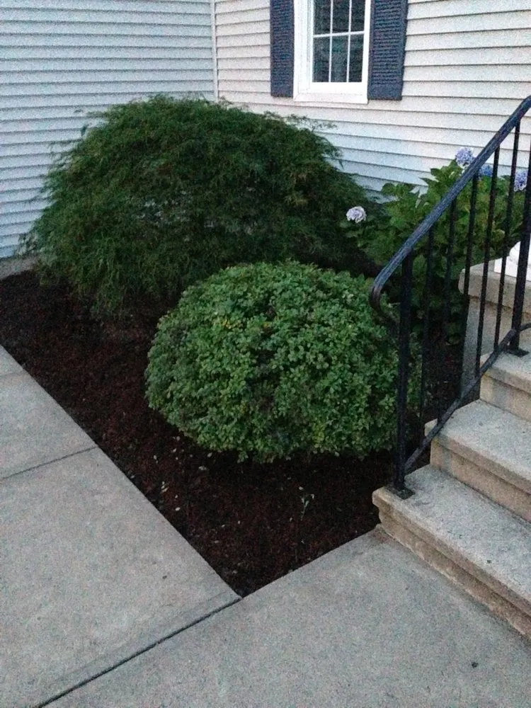 Local landscape design for beautiful yards across Cheshire, CT - Patriots Landscapers