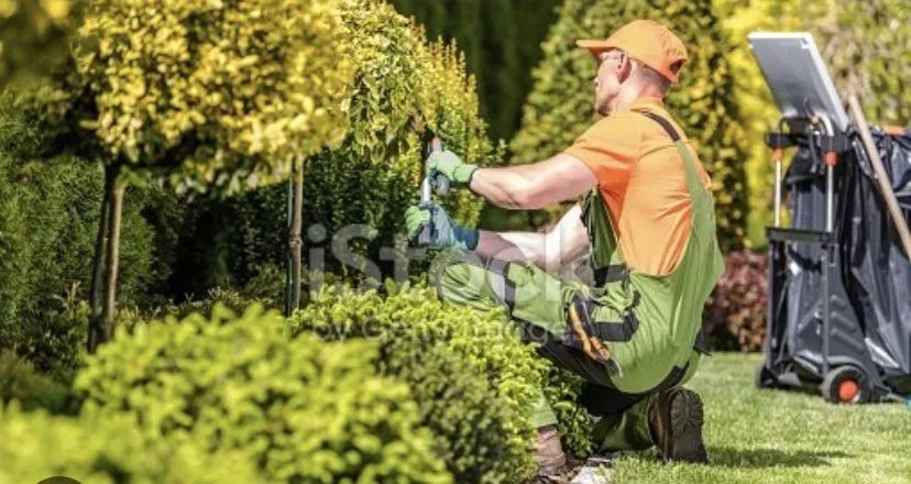 Professional lawn care service in Cheshire, CT - Patriots Landscapers