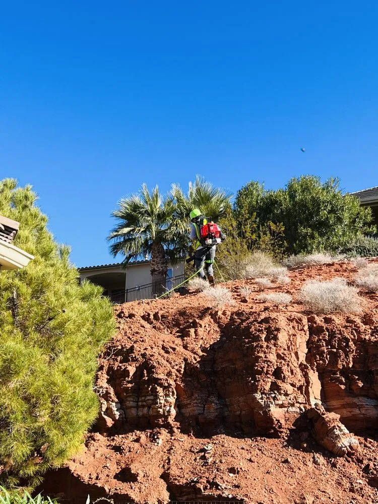 Local residential landscaping experts serving St. George, UT - Patriots Landscaping