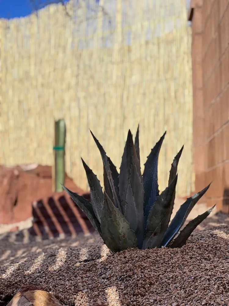 Expert residential landscaping in St. George, UT by Patriots Landscaping