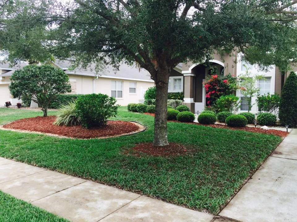 Trusted landscape installation experts serving New Smyrna Beach, FL - Patriot's Lawn Care Professionals