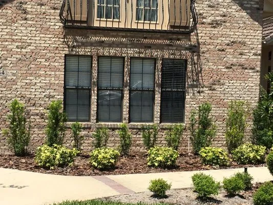 Patriot's Lawn Care Professionals