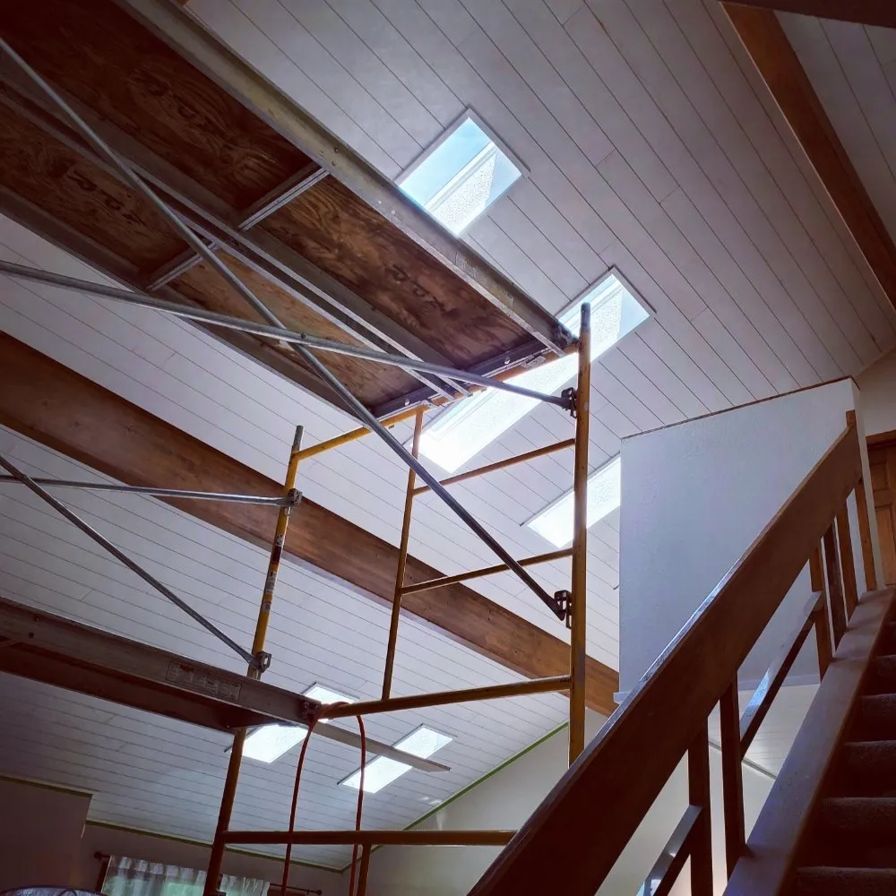 Expert lawn mowing service for year-round maintenance in Greeley, CO by Patrium Services